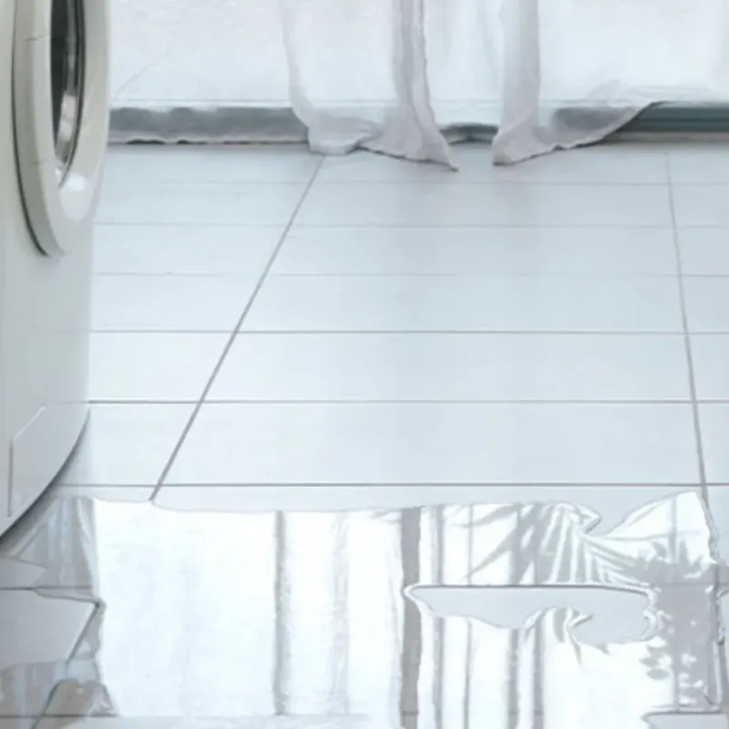 Appliance Leak Cleanup in City View, SC
