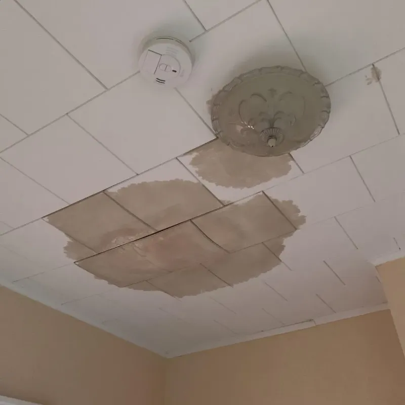 Ceiling Water Damage Repair in City View, SC