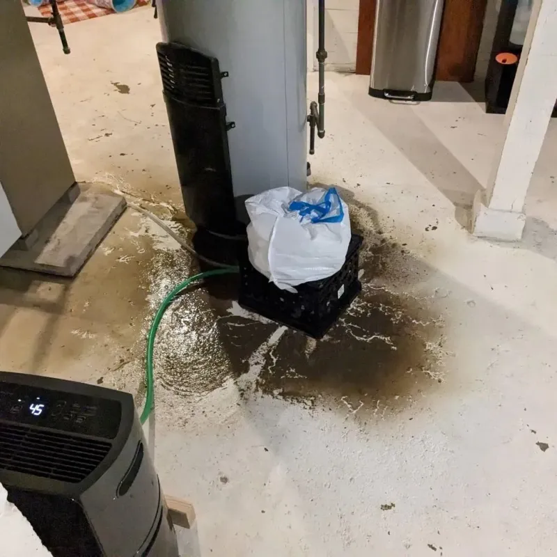 Sewage Backup Cleanup Service in City View, SC